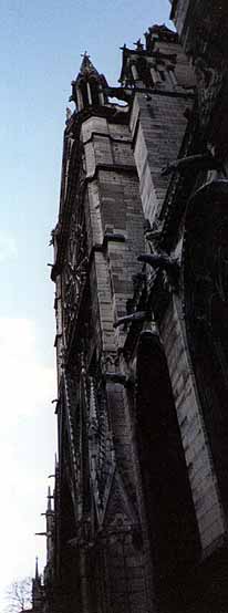 gargoyles guarding Notre Dame