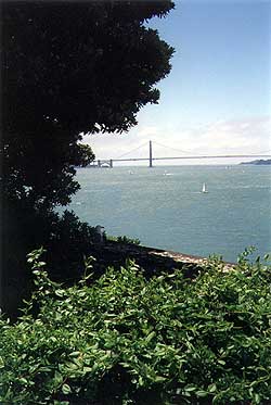 Golden Gate through the trees