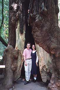 Marcus and Britta inside a redwood tree